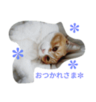 真理ちゃん（個別スタンプ：15）
