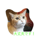 真理ちゃん（個別スタンプ：22）