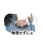 真理ちゃん（個別スタンプ：24）