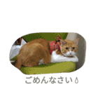 真理ちゃん（個別スタンプ：26）
