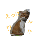 真理ちゃん（個別スタンプ：27）