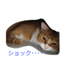 真理ちゃん（個別スタンプ：28）