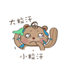 Twins squirrels（個別スタンプ：40）