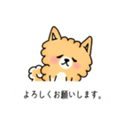 キャリ犬物語~話を聞かせてほしいワン~（個別スタンプ：12）
