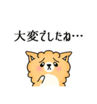 キャリ犬物語~話を聞かせてほしいワン~（個別スタンプ：29）