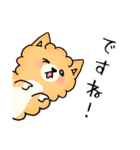 キャリ犬物語~話を聞かせてほしいワン~（個別スタンプ：36）