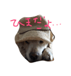 くぅ（個別スタンプ：2）