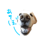 くぅ（個別スタンプ：6）