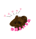にゃんごろげ。（個別スタンプ：16）