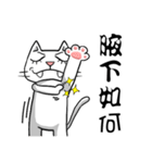ian cat of white（個別スタンプ：1）