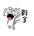 ian cat of white（個別スタンプ：3）