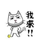 ian cat of white（個別スタンプ：8）
