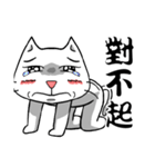 ian cat of white（個別スタンプ：11）