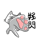 ian cat of white（個別スタンプ：12）