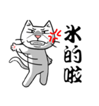 ian cat of white（個別スタンプ：13）