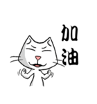 ian cat of white（個別スタンプ：27）