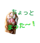 茶とらネコ（個別スタンプ：4）