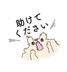全力なハムスター（個別スタンプ：14）