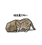 後ろ姿のイヌとネコ（個別スタンプ：21）