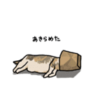 後ろ姿のイヌとネコ（個別スタンプ：22）