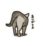 後ろ姿のイヌとネコ（個別スタンプ：33）
