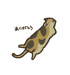 後ろ姿のイヌとネコ（個別スタンプ：34）
