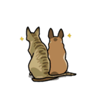 後ろ姿のイヌとネコ（個別スタンプ：37）