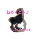 ヨーキーとプードルミックススタンプ♪（個別スタンプ：5）