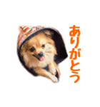 たぬの日常。（個別スタンプ：2）