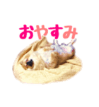 たぬの日常。（個別スタンプ：4）