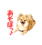 たぬの日常。（個別スタンプ：5）