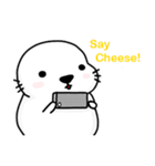 MR.Cute Seal3（個別スタンプ：17）