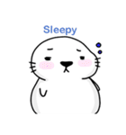 MR.Cute Seal3（個別スタンプ：18）