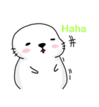 MR.Cute Seal3（個別スタンプ：36）