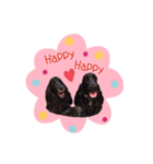 大好きEコッカー（個別スタンプ：1）