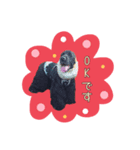 大好きEコッカー（個別スタンプ：7）