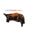 にゃん～ダフる（個別スタンプ：1）