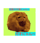 にゃん～ダフる（個別スタンプ：2）