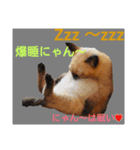 にゃん～ダフる（個別スタンプ：7）