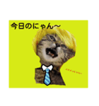 にゃん～ダフる（個別スタンプ：8）