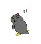 PingPing Little penguin（個別スタンプ：13）