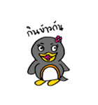 PingPing Little penguin（個別スタンプ：23）