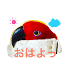 オオハナインコのハナちゃん（個別スタンプ：1）