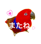 オオハナインコのハナちゃん（個別スタンプ：3）