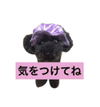 日常会話＊＊（個別スタンプ：18）