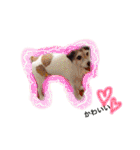 日常スタンプ(犬編)（個別スタンプ：2）