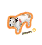 日常スタンプ(犬編)（個別スタンプ：17）