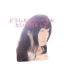 MARUるんstamp（個別スタンプ：3）