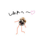 ごんた らいく あ ふぉっくす（個別スタンプ：32）