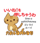 面白い猫日本語タイ語（個別スタンプ：2）